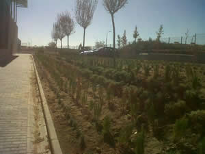 Jardineria Parla Monalsa