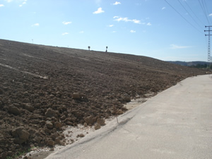 Monalsa Movimiento Tierra